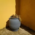 Harmony House * أغيا باراسكيفي