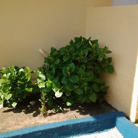 Harmony House Apartment Agia Paraskevi (Skiathos)