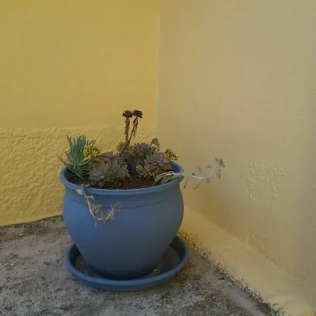 Harmony House Appartement Agia Paraskevi (Skiathos)