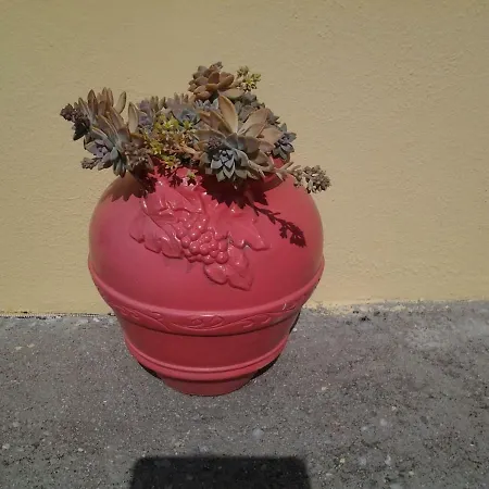 Appartement Harmony House Agia Paraskevi (Skiathos)