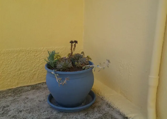 Harmony House Lägenhet Agia Paraskevi (Skiathos)