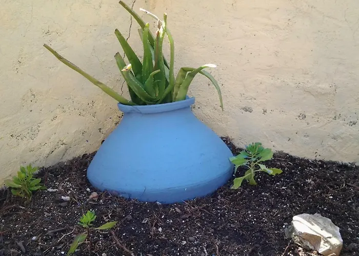 Lägenhet Harmony House *