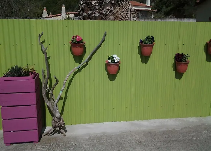 Harmony House Lägenhet Agia Paraskevi (Skiathos)