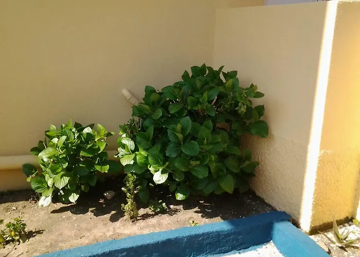 Harmony House Appartement Agia Paraskevi (Skiathos)