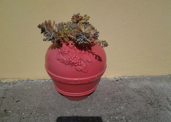 Appartement Harmony House Agia Paraskevi (Skiathos)