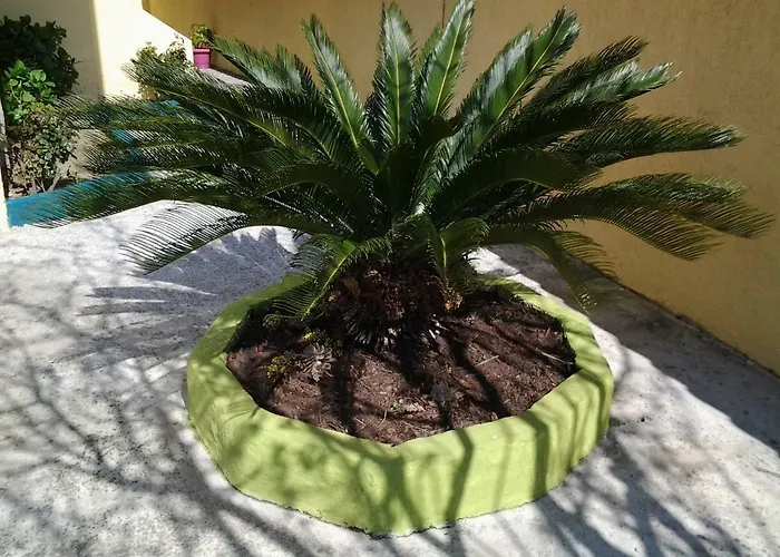 Harmony House Appartement Agia Paraskevi (Skiathos)