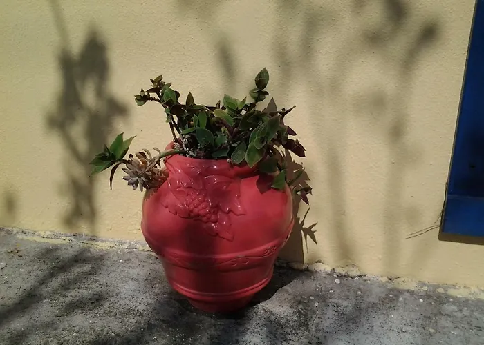 Harmony House Appartement *